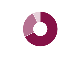 Pie chart displaying areas of revenue in £s million